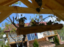 Pensiunea EVA - accommodation in  North Oltenia (60)
