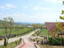 Pensiunea EVA - accommodation in  North Oltenia (61)
