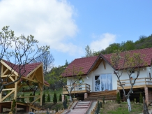 Pensiunea EVA - accommodation in  North Oltenia (66)