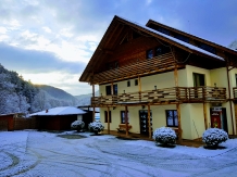Pensiunea Casiana - accommodation in  Hateg Country (01)