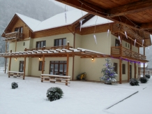 Pensiunea Casiana - accommodation in  Hateg Country (02)