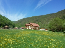 Pensiunea Casiana - accommodation in  Hateg Country (10)