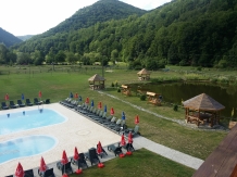 Pensiunea Casiana - accommodation in  Hateg Country (13)