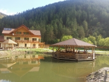Pensiunea Casiana - accommodation in  Hateg Country (14)