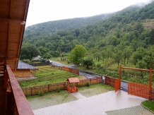Pensiunea Casiana - accommodation in  Hateg Country (16)