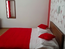 Pensiunea Casiana - accommodation in  Hateg Country (20)