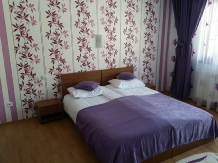 Pensiunea Casiana - accommodation in  Hateg Country (23)