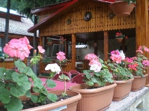 Complex Caprioara - accommodation in  Maramures Country (10)