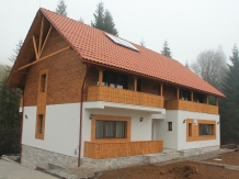 Casa Arnica Montana - accommodation in  Apuseni Mountains, Motilor Country, Arieseni (11)