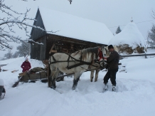 Casa Arnica Montana - accommodation in  Apuseni Mountains, Motilor Country, Arieseni (42)