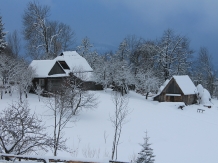 Casa Arnica Montana - accommodation in  Apuseni Mountains, Motilor Country, Arieseni (43)