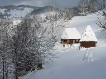 Casa Arnica Montana - accommodation in  Apuseni Mountains, Motilor Country, Arieseni (44)
