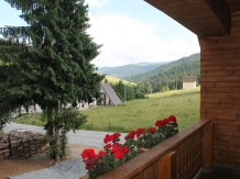 Casa Arnica Montana - accommodation in  Apuseni Mountains, Motilor Country, Arieseni (46)