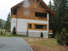 Casa Arnica Montana - accommodation in  Apuseni Mountains, Motilor Country, Arieseni (63)