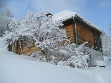 Casa Elsa - accommodation in  Arieseni (04)