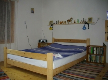 Casa Elsa - accommodation in  Arieseni (18)