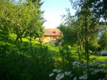 Casa Elsa - accommodation in  Arieseni (30)