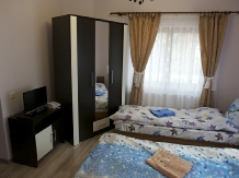 Pensiunea Crinul Alb - accommodation in  Maramures Country (12)