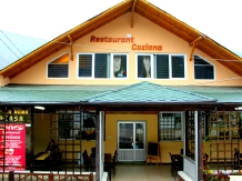 Pensiunea Restaurant Coziana - accommodation in  Olt Valley (01)