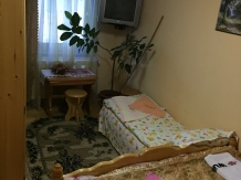 Casa Irinuca - accommodation in  Vatra Dornei, Bucovina (16)