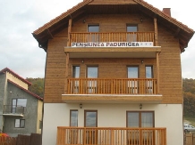 Pensiunea Paduricea - accommodation in  Apuseni Mountains (01)