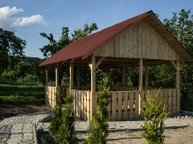 Casa Iuga - accommodation in  Apuseni Mountains (11)
