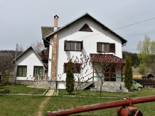 Cabanele Trei Ursuleti - alloggio in  Valea Doftanei (01)