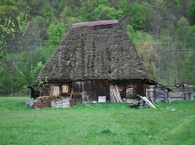 Cabana Molidul - cazare Apuseni, Valea Draganului (46)