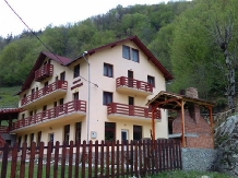 Pensiunea Georgiana - accommodation in  Apuseni Mountains (09)