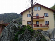 Pensiunea Georgiana - accommodation in  Apuseni Mountains (18)