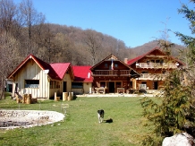 Casa Mistretilor - alloggio in  Rucar - Bran, Rasnov (24)
