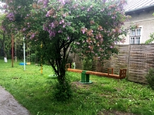 Pensiunea Deceneu - accommodation in  Slanic Prahova (18)