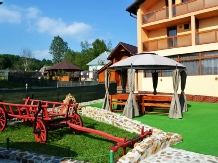 Pensiunea Nicol - accommodation in  Fagaras and nearby, Muscelului Country (02)
