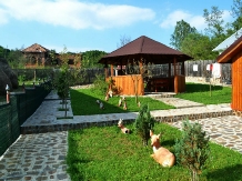 Pensiunea Nicol - accommodation in  Fagaras and nearby, Muscelului Country (04)