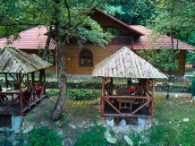 Complex Turcana - alloggio in  Dintorni di Sibiu, Tara Motilor, Transalpina (63)