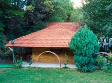 Complex Turcana - alloggio in  Dintorni di Sibiu, Tara Motilor, Transalpina (91)
