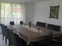 Pensiunea Daiana - accommodation in  Bistrita (04)