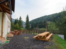 Pensiunea Aries - accommodation in  Apuseni Mountains, Motilor Country, Arieseni (06)