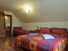 Pensiunea Aries - accommodation in  Apuseni Mountains, Motilor Country, Arieseni (27)
