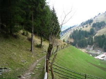 Vila Natura - cazare Rucar - Bran, Moeciu (26)