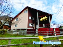 Pensiunea Bryanna - accommodation in  Maramures Country (01)