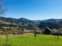 Cabanuta Mihaela Albac - accommodation in  Apuseni Mountains, Motilor Country, Arieseni (03)