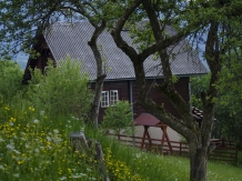Cabanuta Mihaela Albac - accommodation in  Apuseni Mountains, Motilor Country, Arieseni (06)