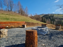Cabanuta Mihaela Albac - accommodation in  Apuseni Mountains, Motilor Country, Arieseni (07)