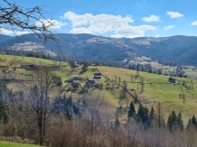 Cabanuta Mihaela Albac - accommodation in  Apuseni Mountains, Motilor Country, Arieseni (11)