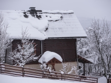 Cabanuta Mihaela Albac - accommodation in  Apuseni Mountains, Motilor Country, Arieseni (27)