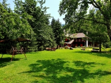 Cabana Basmelor La Ciubar - cazare Marginimea Sibiului (05)
