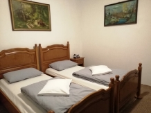 Cabana Basmelor La Ciubar - accommodation in  Sibiu Surroundings (13)