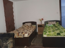 Pensiunea Paula - accommodation in  Danube Delta (01)