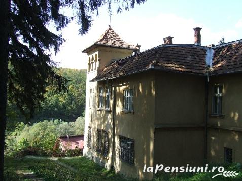 Casa Atti - accommodation in  Apuseni Mountains, Valea Draganului (Surrounding)